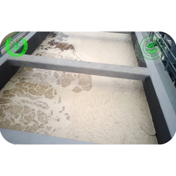 三項渦流氣浮運(yùn)行效果